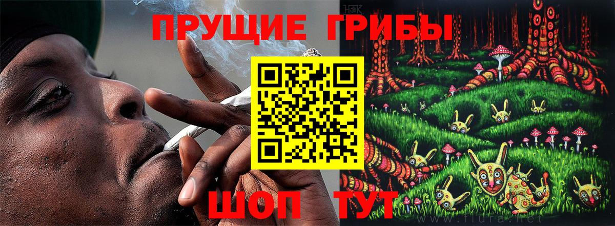 Псилоцибиновые грибы мицелий Егорьевск