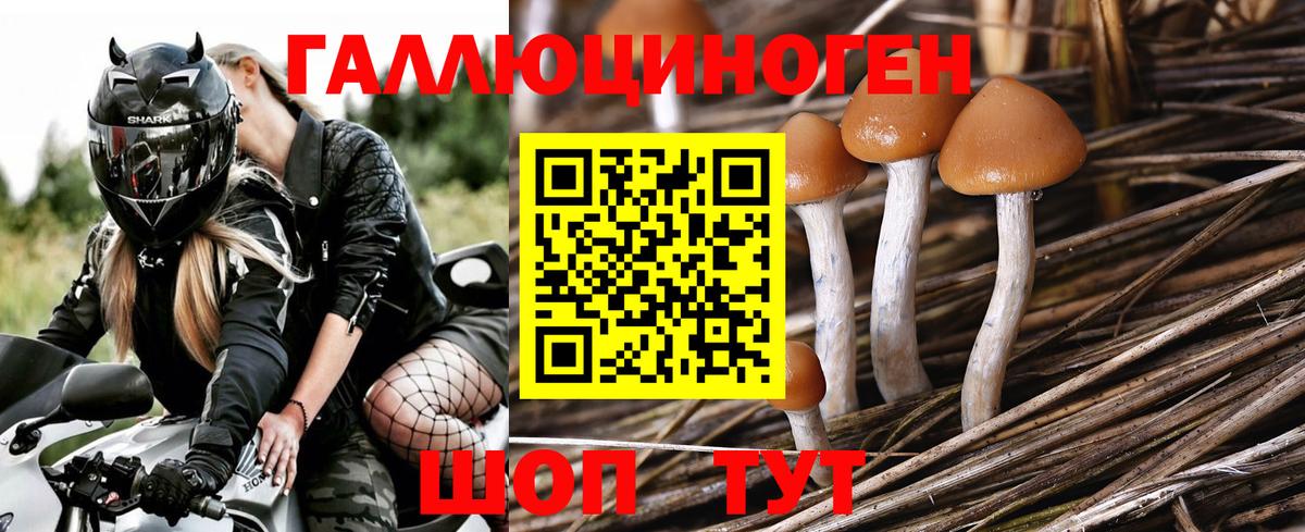 Галлюциногенные грибы MAGIC MUSHROOMS  Вход с VPN  Егорьевск 